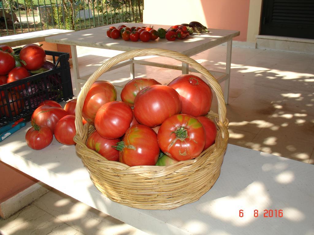 Villa Magia Ypsos Exterior foto